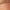 Autoreggenti Velate 20 Denari_undefined